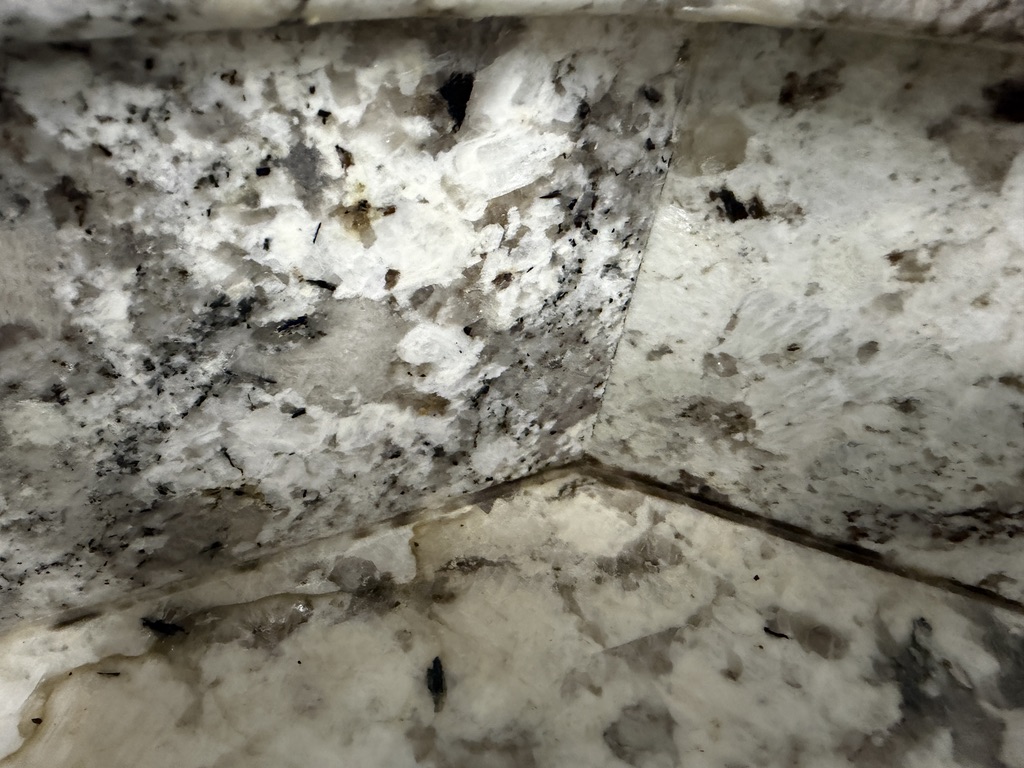 Dirty dish on arrival