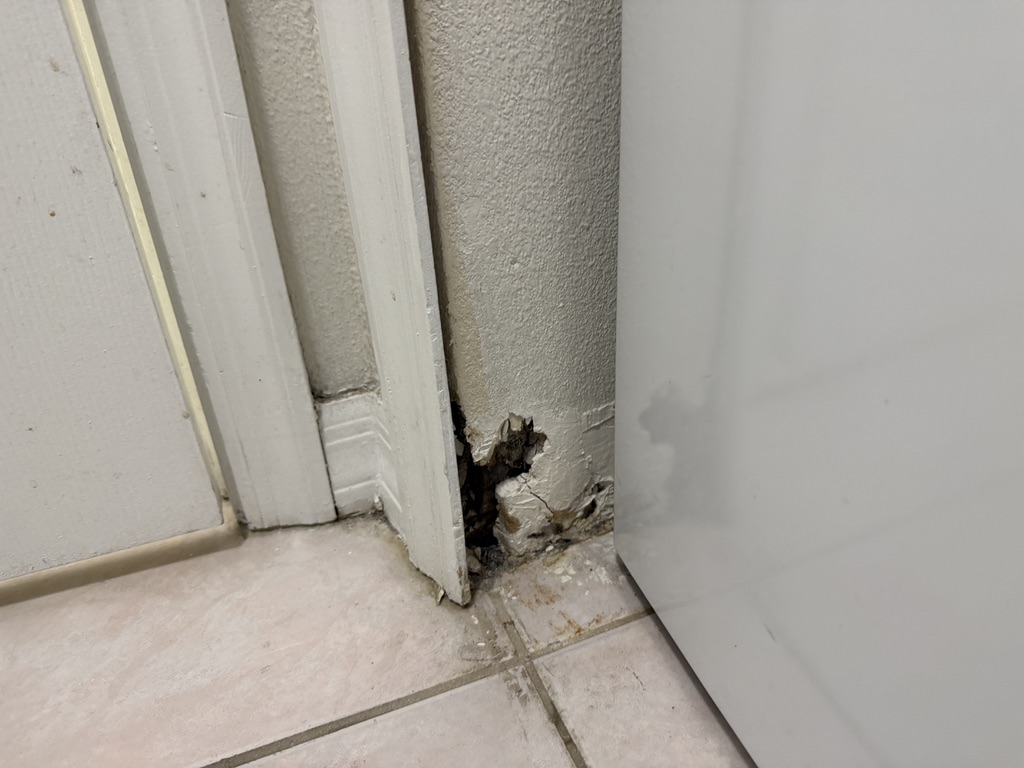 Bathroom drywall damage